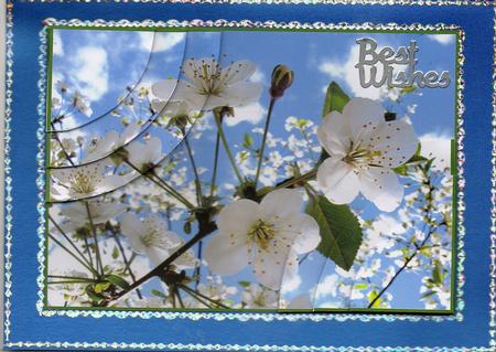 Stunning Floral 2 Corner Stacker by Christine Easey
