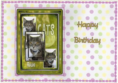 Cats Rule 2 by Christine Easey