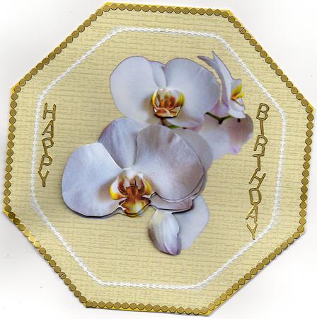 Cream Octagon with Orchids by Christine Easey