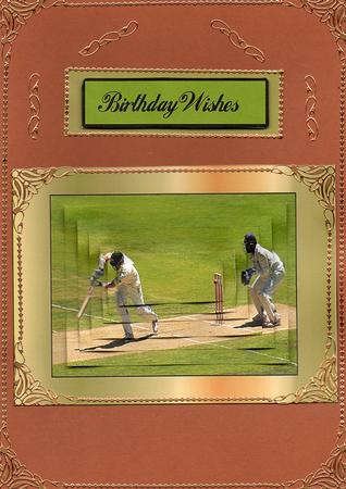 Cricket Lovers by Christine Easey