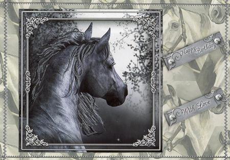 Midnight Horses by Christine Easey