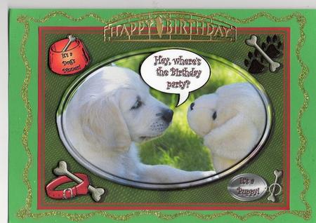 It's a Puppy! by Christine Easey