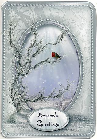 Christmas Robin with Silver Frame by Christine Easey