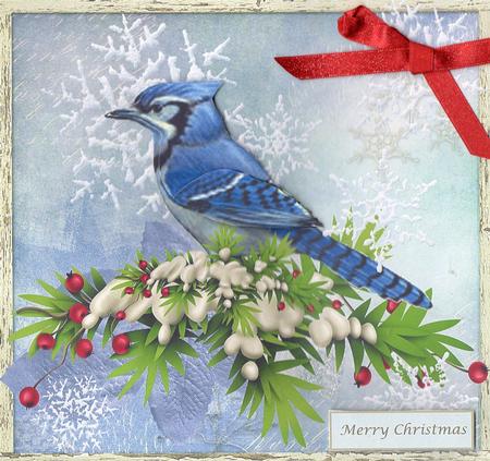 Blue Jay and Snow Flakes Card Topper & Decoupage by Christine Easey