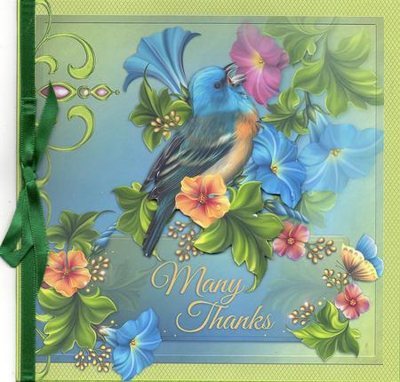 Finch and Flowers by Christine Easey