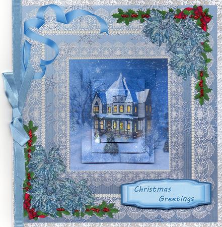 Lovely Silver Pontsettias on a Lace Background by Christine Easey