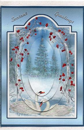 Winter Swans by Christine Easey