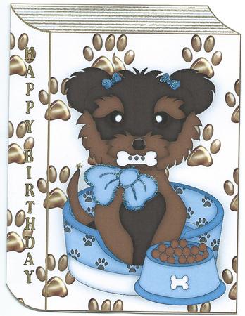 Cute Yorkie Puppy in Blue on Folded Book by Christine Easey