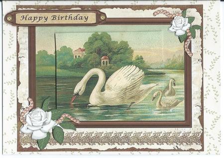 Swans by Christine Easey