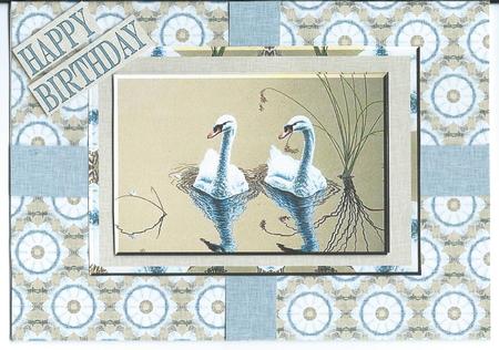 Swan's by Christine Easey