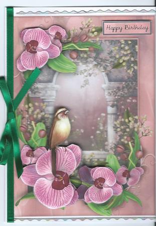 Orchid Bird Female Card for Any Occasion by Christine Easey