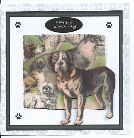 Dogs Out of the Frame by Christine Easey