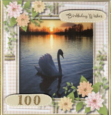 Beautiful Swan Scene with Flowers  by Christine Easey