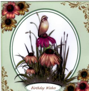 Lovely Bird on Cone Flowers  by Christine Easey