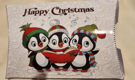 Pillow Box Singing Penguins Happy Christmas by Christine Garner