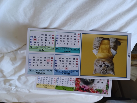 Cute Kitten 2 Triangular Desk Calendar 2025 by Christine Garner