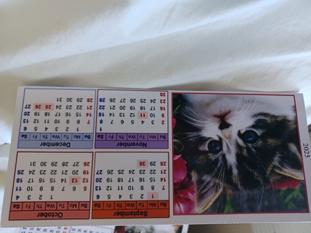 Cute Kitten 2 Triangular Desk Calendar 2025 by Christine Garner