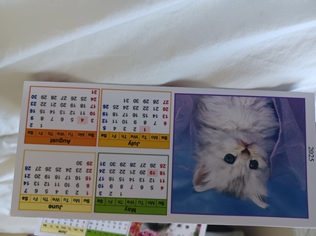 Cute Kitten 2 Triangular Desk Calendar 2025 by Christine Garner