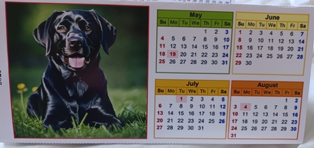 Lovely Labs Triangular Desk Calendar 2025 by Christine Garner