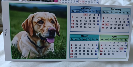 Lovely Labs Triangular Desk Calendar 2025 by Christine Garner