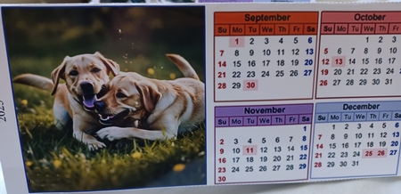 Lovely Labs Triangular Desk Calendar 2025 by Christine Garner