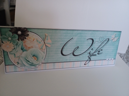 Mint And Peach - Wife - Large DL 3D Decoupage Card by Christine Garner