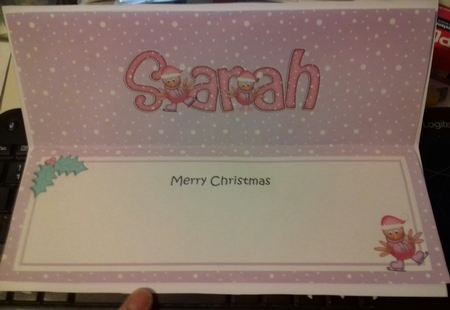 Merry Christmas Sarah Robins Matching Large Dl Insert by Christine Garner