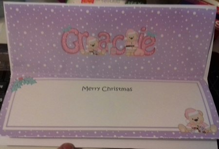 Large Dl Xmas Gracie Livvy Bear Matching Insert by Christine Garner