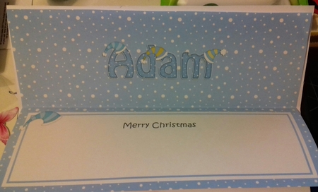 Large DL Merry Christmas ADAM insert by Christine Garner