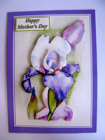 Iris Purple/mauve by Christine Pagan