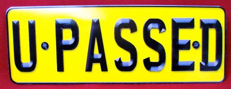 Large Dl You Passed Novelty Number Plate and 3D Decoupage by Christine Pagan