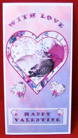 Cat Val 2 by Christine Pagan