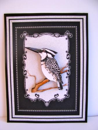 Smart Bird by Christine Pagan