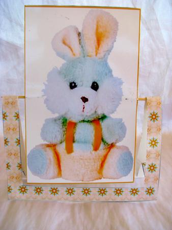 Fluffy Bunny Spinner Card by Christine Pagan
