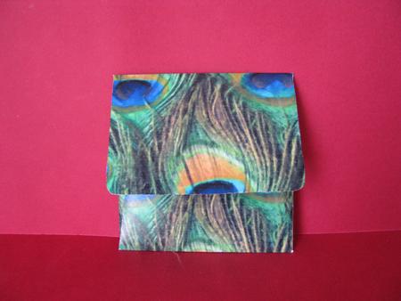 Peacock Print Mini Pop-up Matching Envelope by Christine Pagan