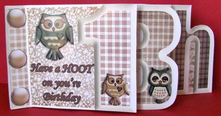 Have a Hoot on Your Birthday Owls18th Book Sheet by Christine Pagan