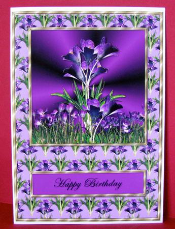 Purple Crocus by Christine Pagan