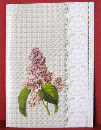 Eau De Nil Embossed with Embroidered Flower Border by Christine Pagan