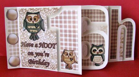 Male 16th Number Book Have a Hoot on Your Birthday (owls) by Christine Pagan