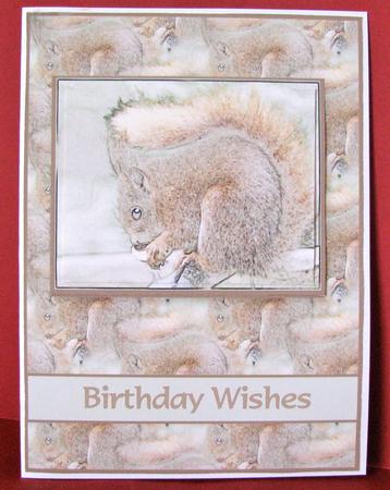 Red Squirrel by Christine Pagan