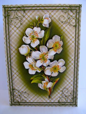 Cream Flowers Card Front by Christine Pagan