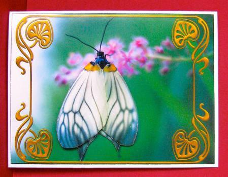Butterfly and Buddleia - Large Topper by Christine Pagan