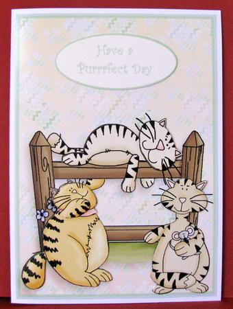 Cats Galore by Christine Pagan