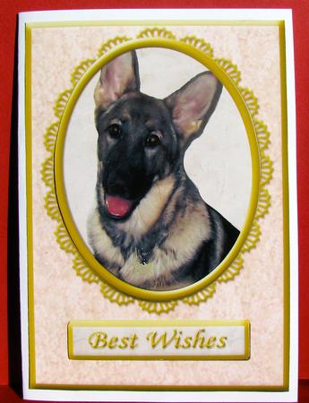 German Shepherd Pink/gold Various Occasion Card by Christine Pagan