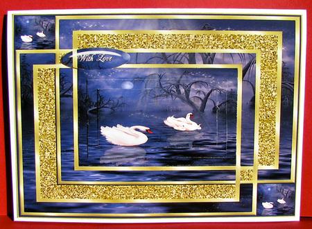 Swans Double Gold Frame by Christine Pagan