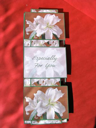 White Oriental Lili 3 Panel Pop Up Card by Christine Pagan