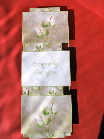 Delicate Floral Display 3 Panel Fold Back by Christine Pagan