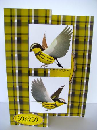Songbirds for Dad by Christine Pagan