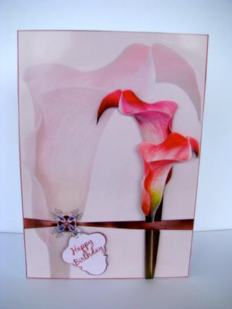 Cala Lily Step by Step by Christine Pagan