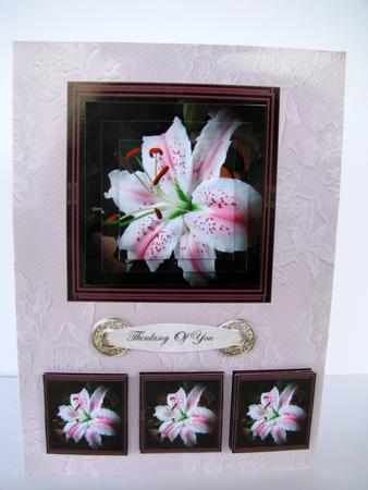White and Pink Lily by Christine Pagan